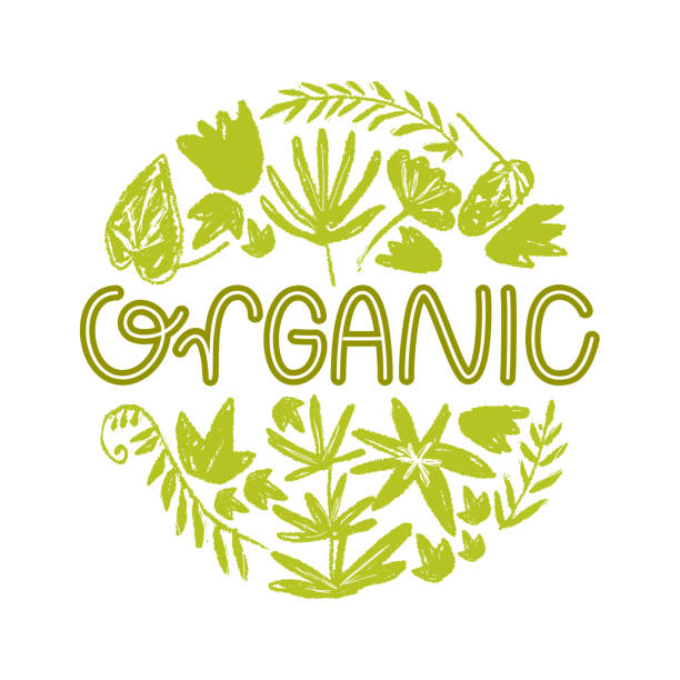 Vector round illustration with hand drawn textured prehistoric plants. Naive kid drawn style. Organic. Logo. Vector round illustration with hand drawn textured prehistoric plants. Naive kid drawn style. Tropical herbs. horsetail bamboo stock illustrations