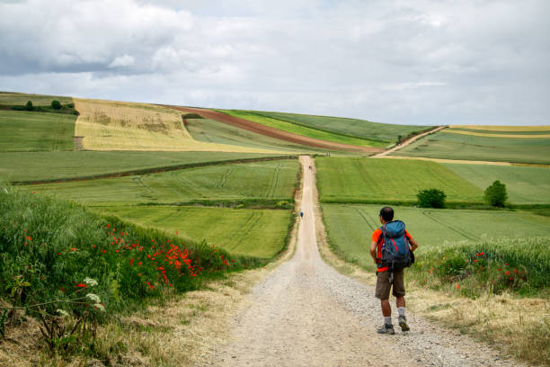 Backpacker pilgrim walking in the wheat fields in Logrono, La Rioja, Spain. June 2016.