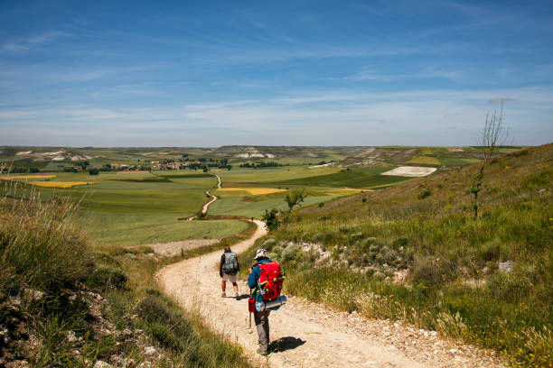Pilgrims walking in the countyside with beautiful wheat field in Itero del Castillo, Burgos, Spain. June 2016.