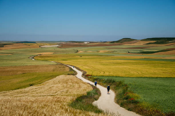 Pilgrims walking in the countyside with beautiful wheat field in Itero del Castillo, Burgos, Spain. June 2016.