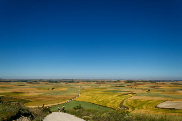 Pilgrims walking in the countyside with beautiful wheat field and landscape in Itero del Castillo, Burgos, Spain. June 2016.