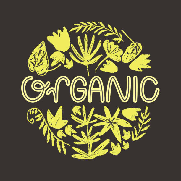 Vector round illustration with hand drawn textured prehistoric plants. Naive kid drawn style. Organic. Logo. Vector round illustration with hand drawn textured prehistoric plants. Naive kid drawn style. Tropical herbs. horsetail bamboo stock illustrations