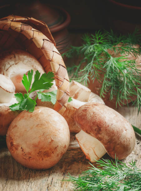 istock Brown raw mushrooms on vintage wooden table, rustic style, selective focus 1147899638