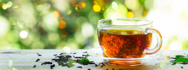 Cup of black tea on the nature summer background, selective focus, copy space, banner