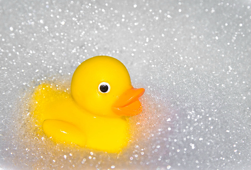 Yellow rubber duck floats in bath foam