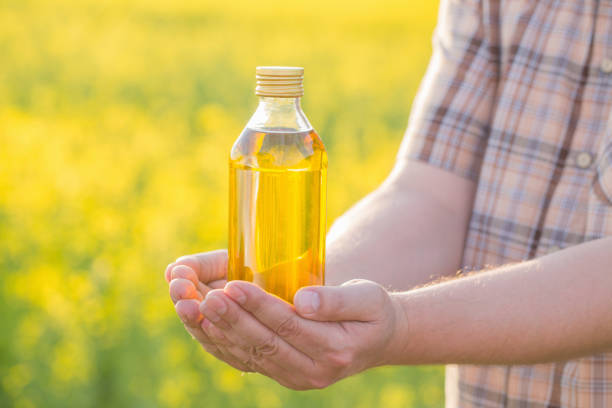 istock rapeseed oil in bottle in hand on background rape field 1147914782