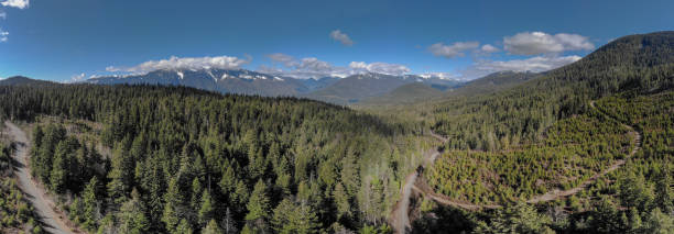 istock Aerial panoramic of forest and mountains, Boston Bar BC 1147916854