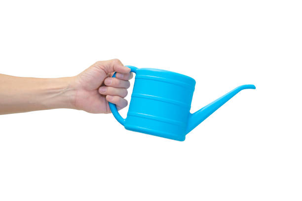 istock Man's hand holding blue watering can 1147917294