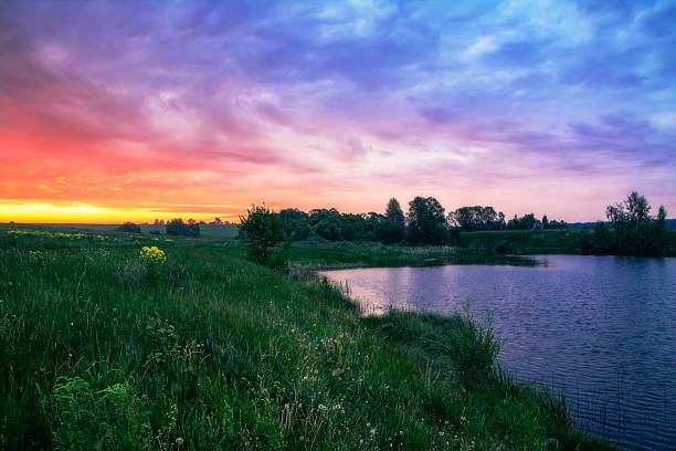 istock Summer very beautiful sunset over the pond 1147919228
