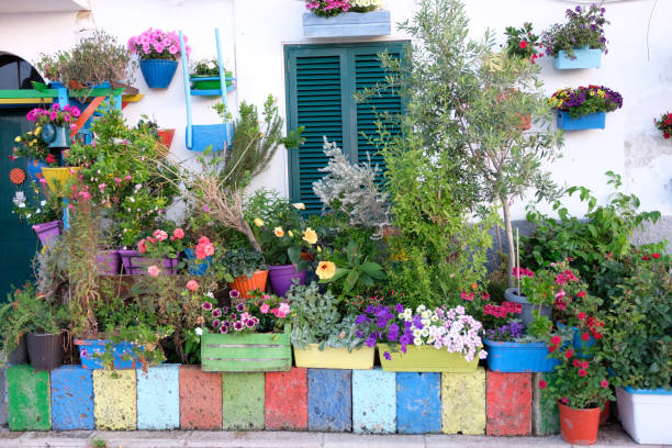 istock Improvised front garden with many flowers 1147919252