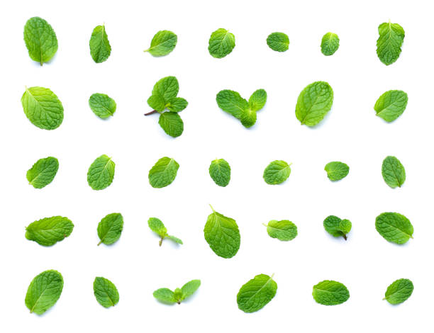 istock Set of fresh mint leaf top view isolated on white background. 1147921483