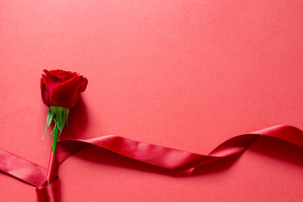 istock Image of red rose and red ribbon present 1147924988