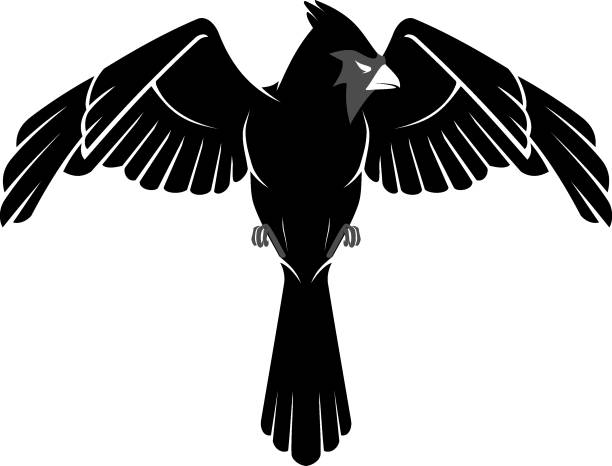 Cardinal Bird Black and Grey Isolated vector illustration of cardinal bird with wings spread, front view. cardinal mascot stock illustrations