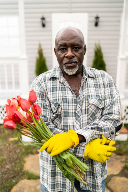 istock Mature african man standing on back yard and holding tulips 1147927673