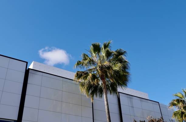 istock High Rise Office Buildings 1147927733