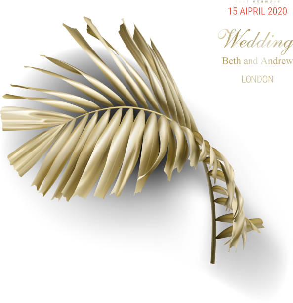 istock Tropical golden palm leaves on white background 1147927737