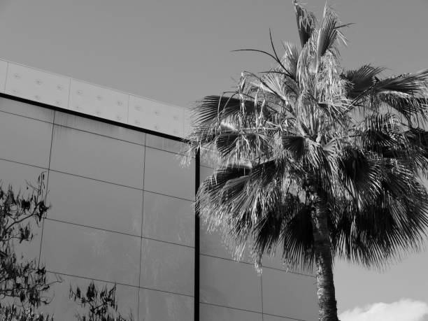 istock High Rise Office Buildings 1147927740