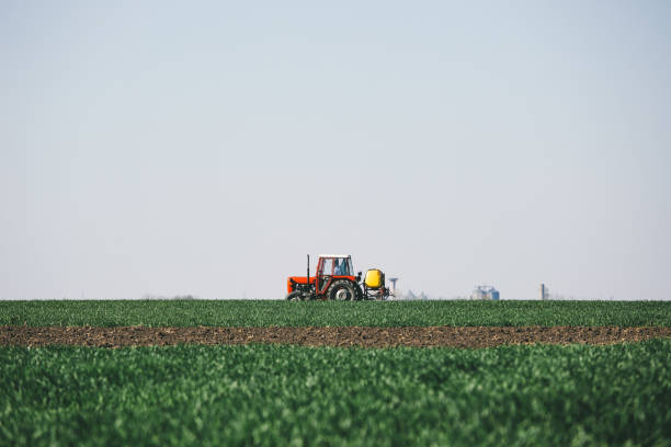 istock Tractor spraying wheat field 1147927777