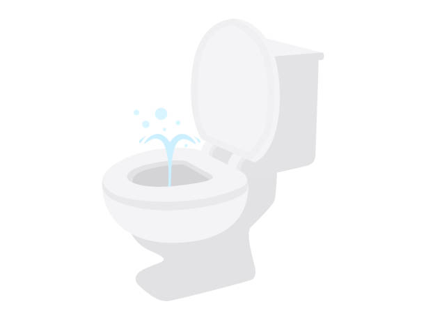 toilet toilet flushing toilet stock illustrations