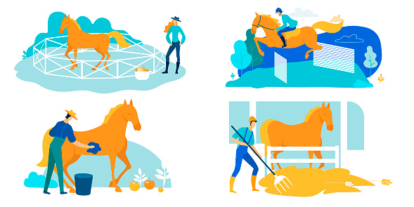 Set Work on Horse Farm, Care and Training Cartoon. Horse is Running Along Walled Arena, Woman Standing Nearby. Man Washes and Feeds Horse. Jockey Galloping Horseback. Vector Illustration.