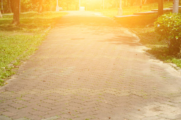 Imagery about nature, health, organic, success.