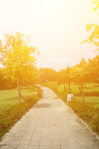 Imagery about nature, health, organic, success.