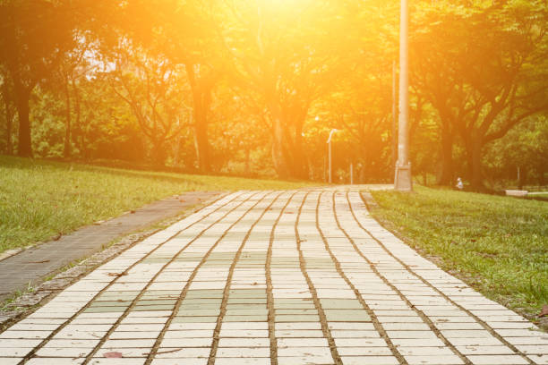 istock The scenery of park in sunny day. 1147938089