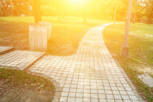 istock The scenery of park in sunny day. 1147938241