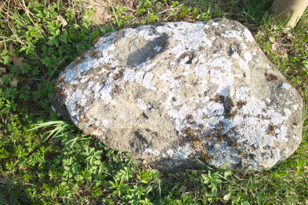 istock Big stone on the grass by the road 1147941610