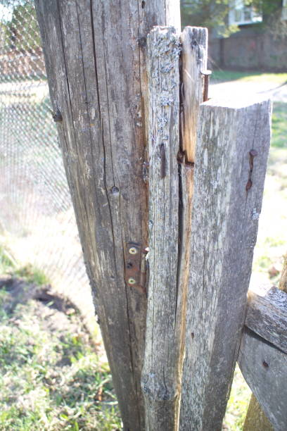 istock Old wooden gate in the village 1147941991