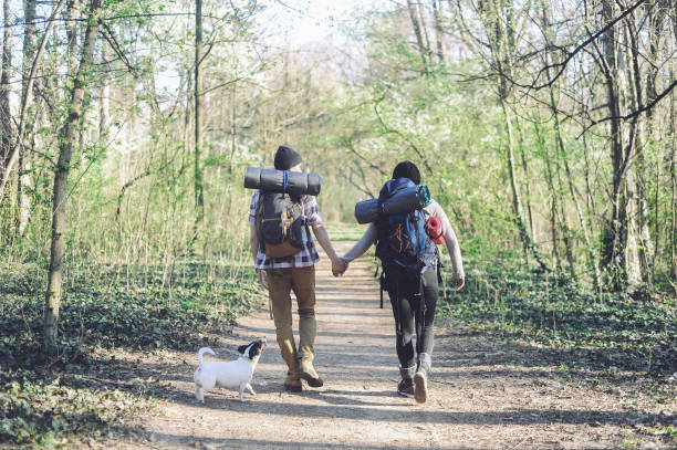 istock Mixed race couple, campers walking through forest 1147943823