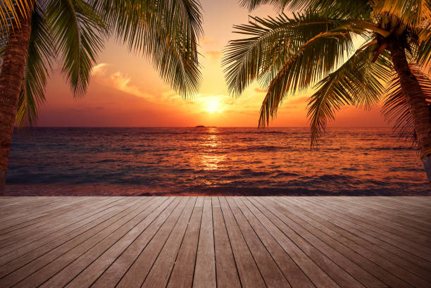 Wooden walkway on the sunset beach