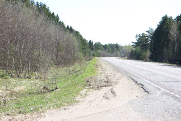 istock Spring country road on a sunny day 1147951168