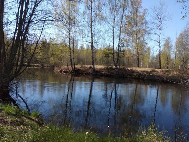 istock picturesque pond in early spring 1147954203