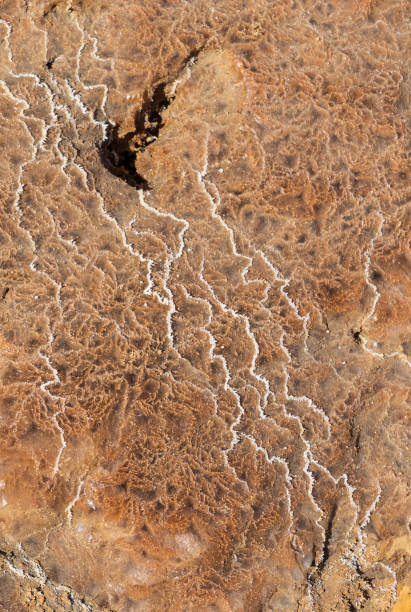 Close up of salt geometries in the plain of salt in the Danakil Depression in Ethiopia, Africa Close up of salt geometries in the plain of salt in the Danakil Depression in Ethiopia in Africa dallol ethiopia stock pictures, royalty-free photos & images