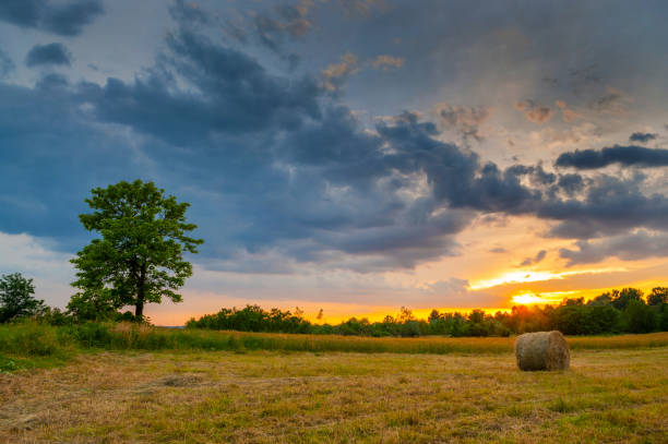 istock Hay bale at sunset. Sun rays filling up the sky. 1147960103