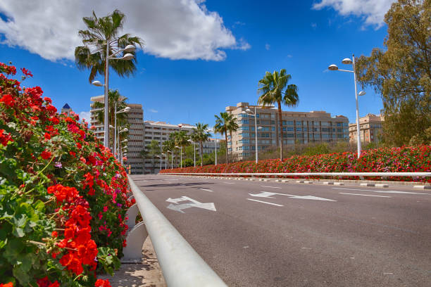 istock Spain, Valencia, Pont de les Flors 1147962184