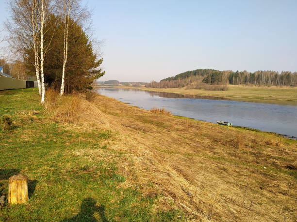 Spring sunny morning on the river bank