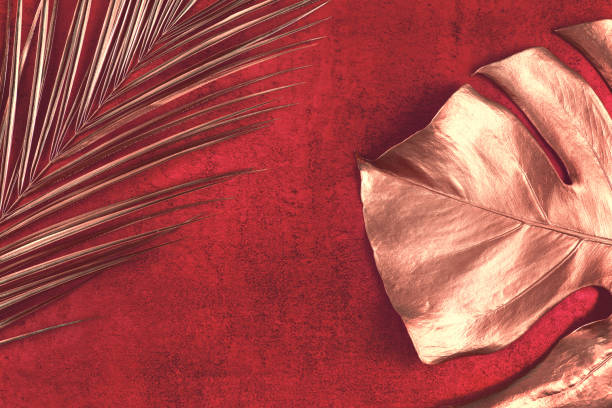 istock golden palm and monstera leaves on abstract red textured background 1147966498