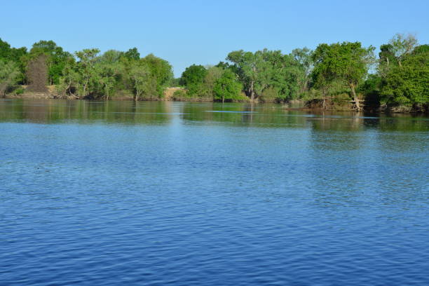 istock Discovery Park in  Sacramento in late spring. 1147966859