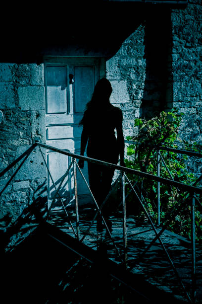 istock Silhouette of a woman on front door 1147971061