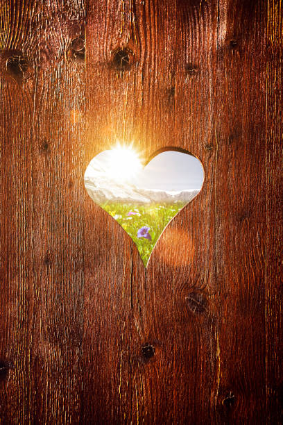 Heart in old  wooden wall