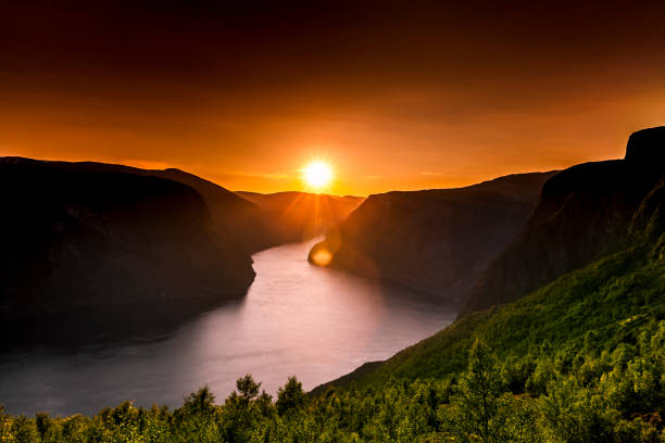 por do sol com luz dourada em um fjord em noruega - sol da meia noite - fotografias e filmes do acervo