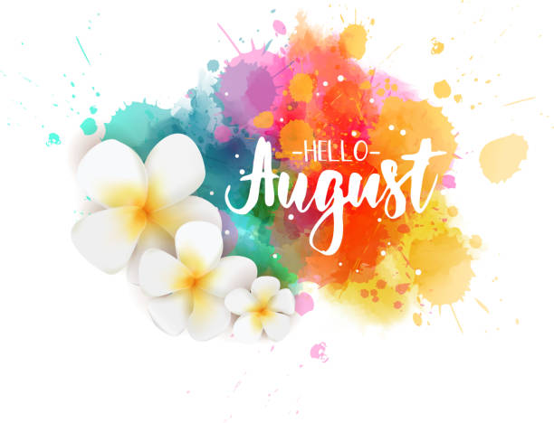Hello August - floral summer concept background Abstract background with watercolor colorful splashes and frangipani (plumeria) flowers. Hello August handwritten modern calligraphy lettering. Summer concept background. august stock illustrations