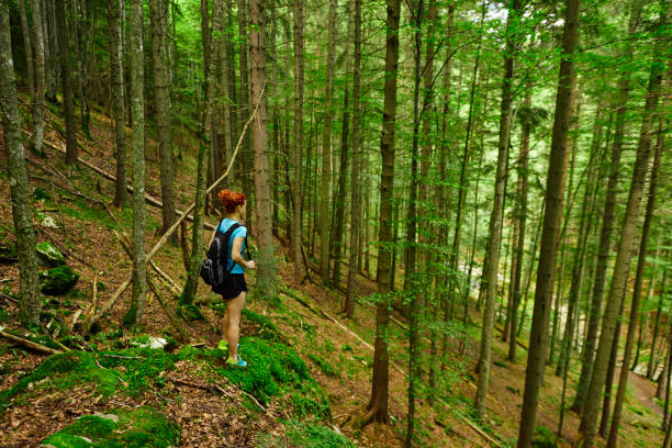 side view of redhead hiker woman in the forest looking at view.