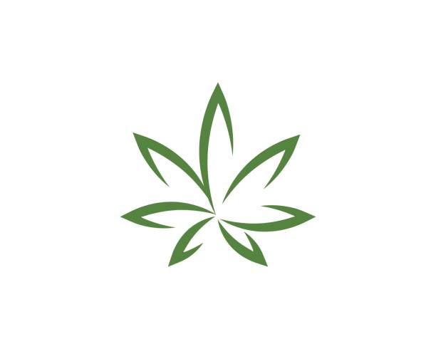 Canabis leaf vector illustration Canabis leaf vector illustration icon design weed leaf stock illustrations