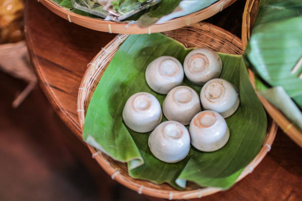 pastel de natillas de leche de coco tailandesa. khanom thuai. postre tailandés - brussels sprout raw brown close up fotografías e imágenes de stock