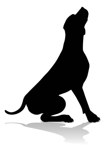 Dog Silhouette Pet Animal A detailed animal silhouette of a pet dog dog sitting stock illustrations
