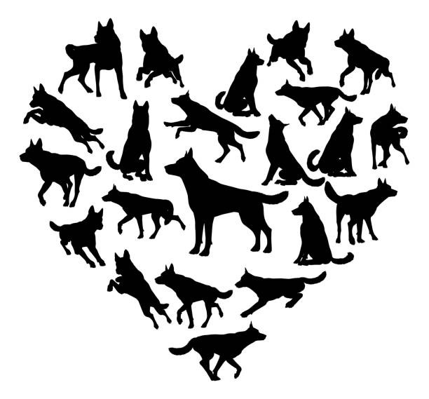ilustraciones, imágenes clip art, dibujos animados e iconos de stock de alemán shepard alsatian perro corazón concept - color image retriever illustration technique horizontal