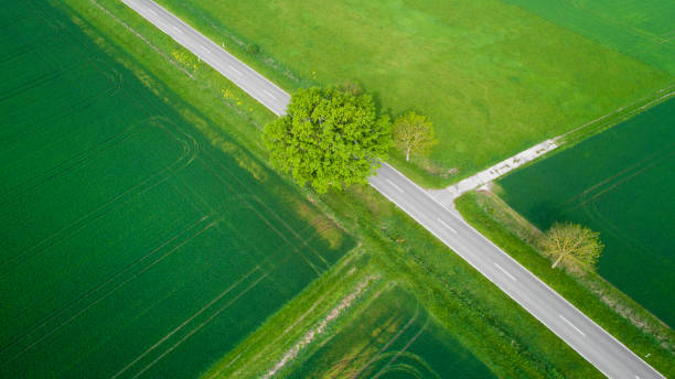 istock Road through agricultural area - aerial view 1147985373